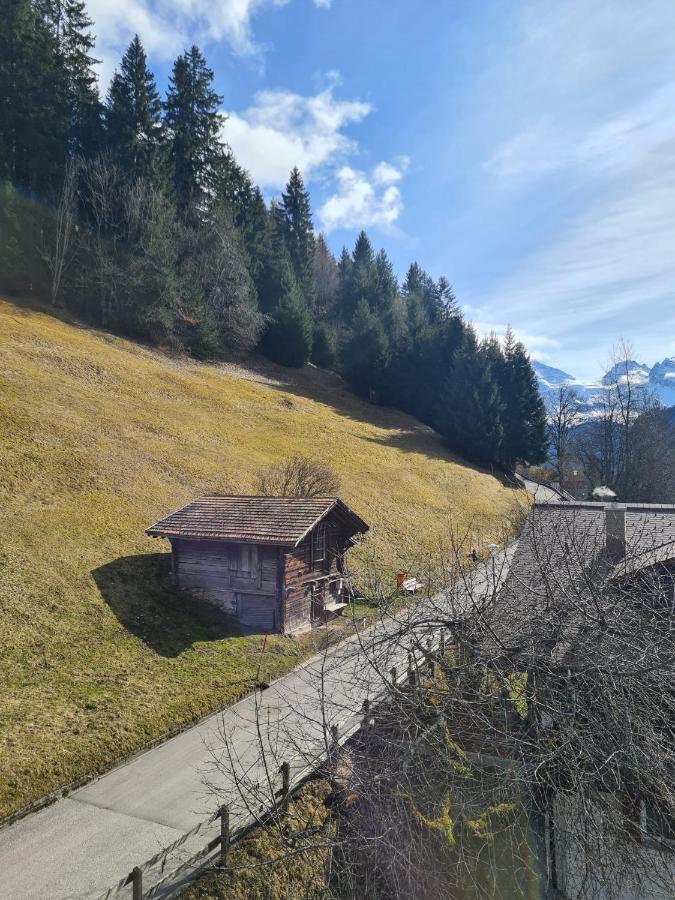 Traditional Chalet In Wengen - Top Floor Appartement Buitenkant foto