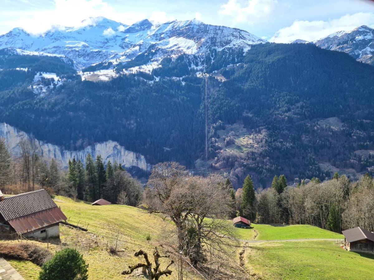 Traditional Chalet In Wengen - Top Floor Appartement Buitenkant foto