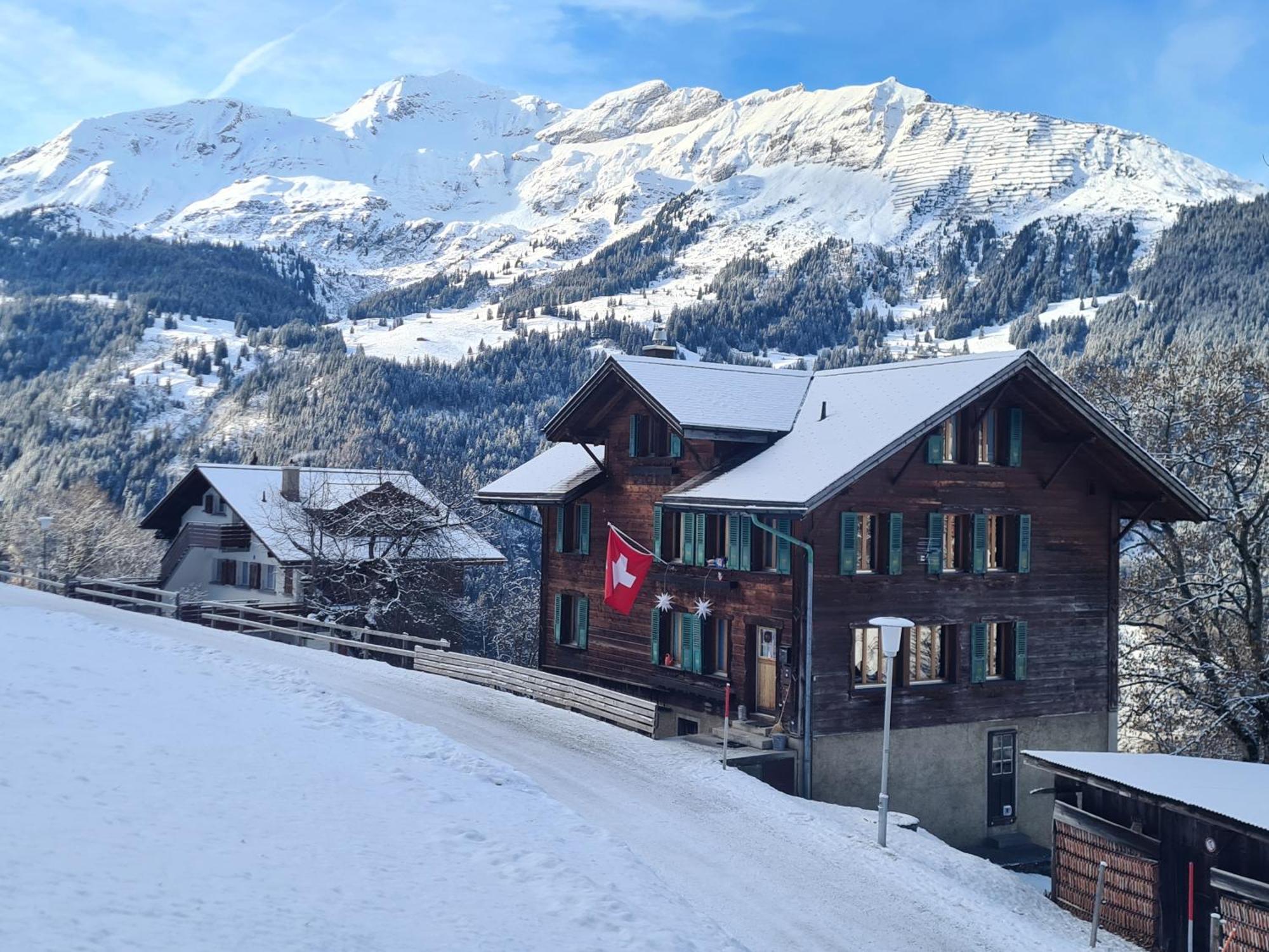 Traditional Chalet In Wengen - Top Floor Appartement Buitenkant foto